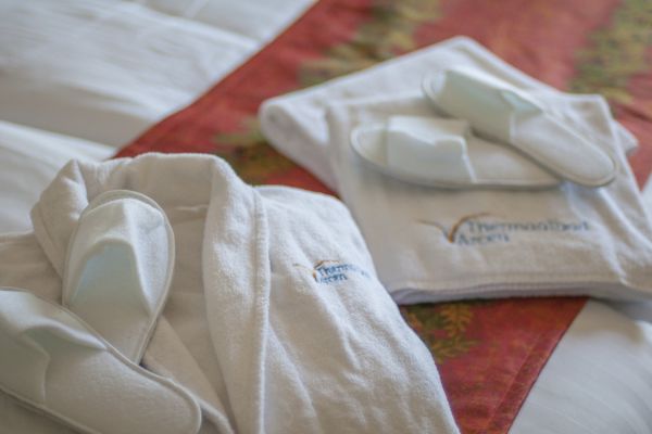 Parkhotel Bad Arcen (Entrance Wellness incl) (Limburg)
